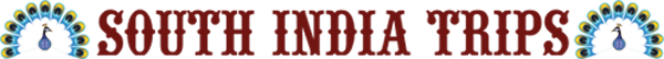 www.southindiatrips.com